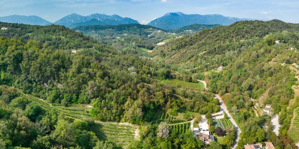 Veduta delle colline tra il Molinetto della Croda e Rolle