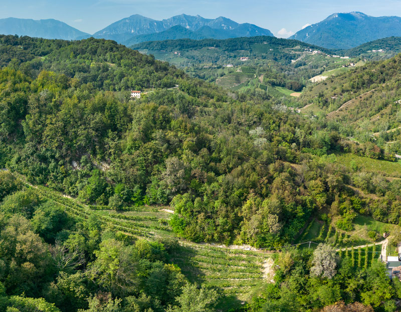 Pano Conegliano Valdobbiadene Colline del Prosecco